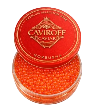 GORBUSHA